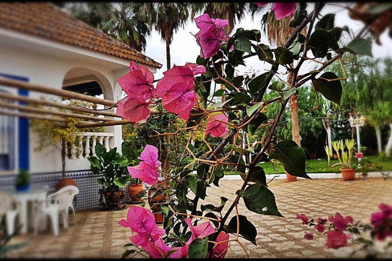 Casa Rural Finca Real De Niebla Esterno foto